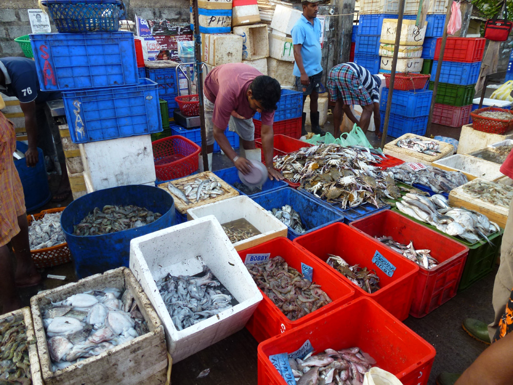 fiskmarknad